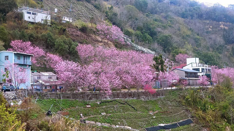 La La Shan 5.5Knong Zhuang Hualing Kültér fotó
