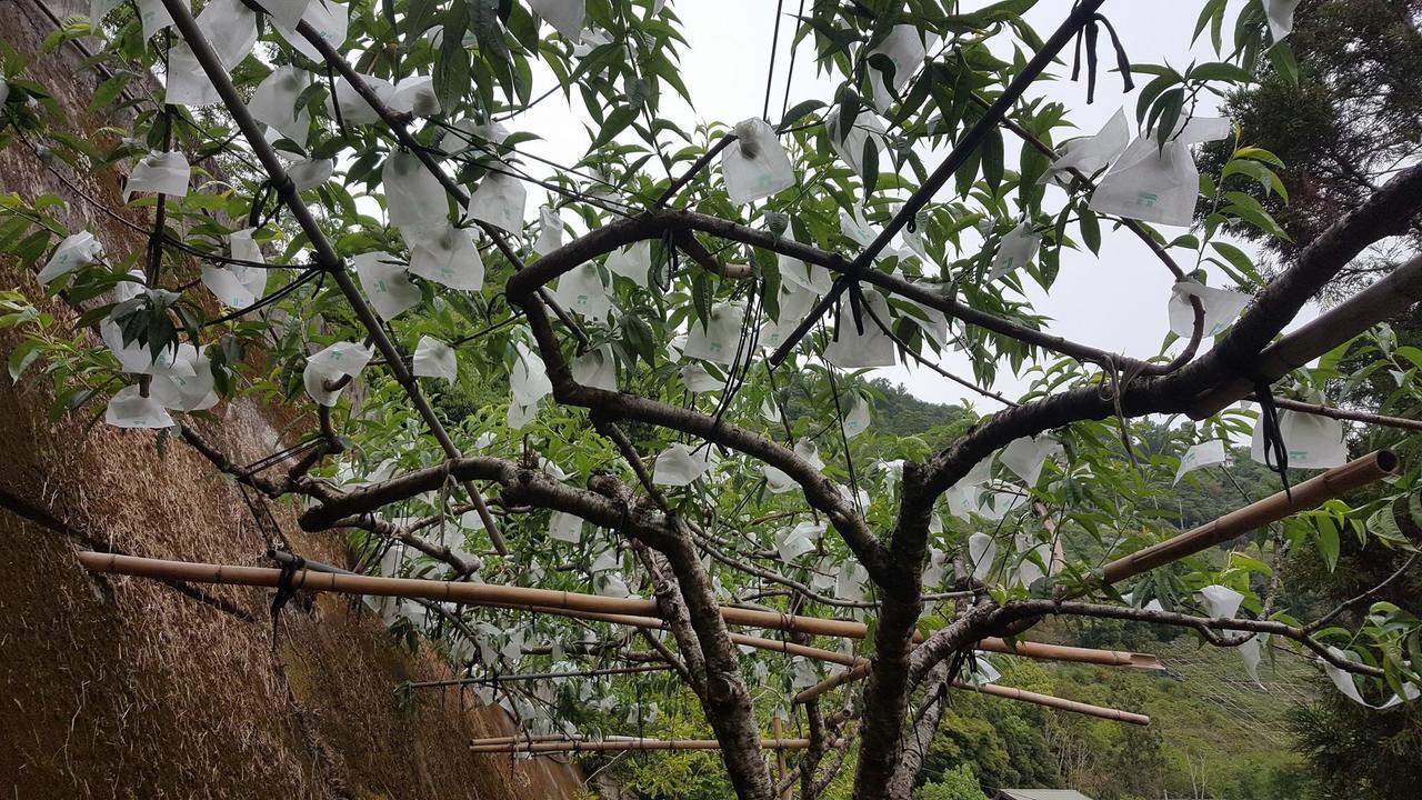 La La Shan 5.5Knong Zhuang Hualing Kültér fotó